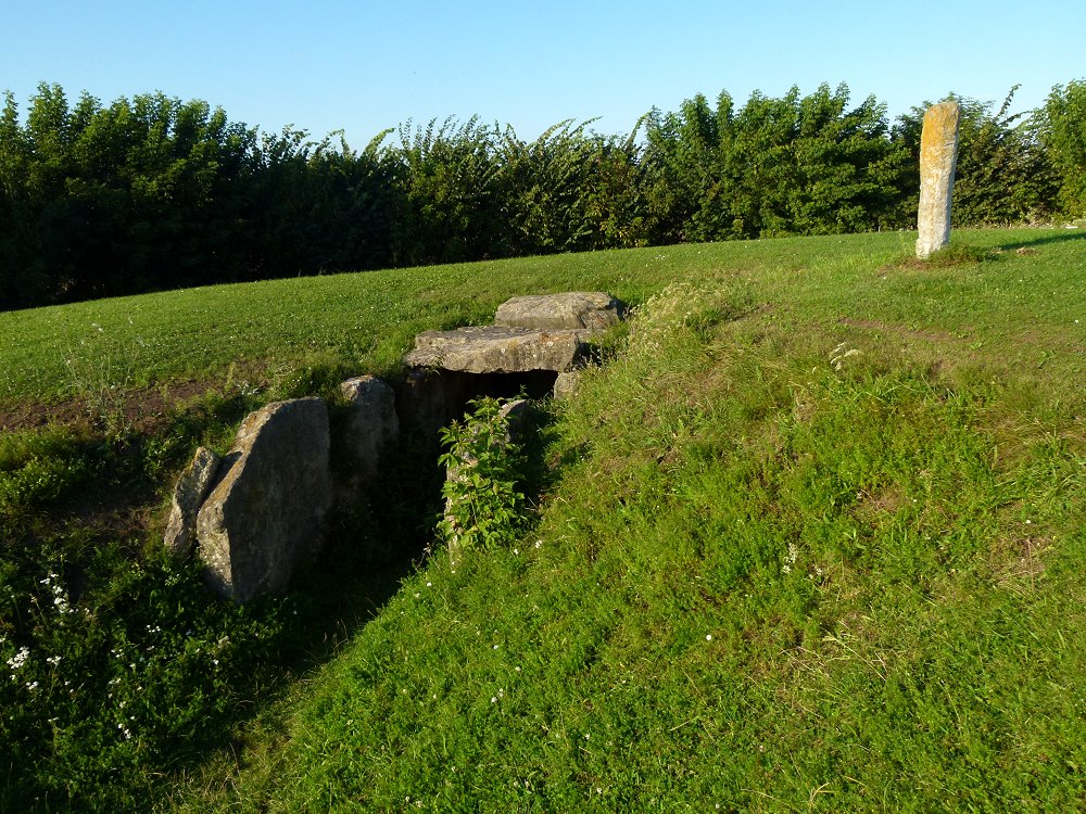 Jungsteinzeitliches Großsteingrab bei Langeneichstädt