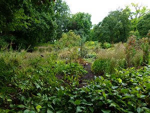 Botanischer Garten der Universität Halle