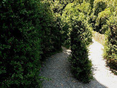 Irrgarten-Labyrinth in Collodi in der Toskana